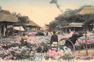 c.'07 Early Japanese Art , Iris Gardens at Horikiri, Tokyo, Old Postcard