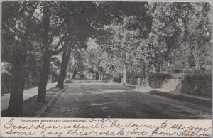 Postcard West Walnut Lane Germantown Philadelphia PA 1907