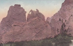 Colorado Colorado Springs Garden Of The Gods Bear And Seal Albertype