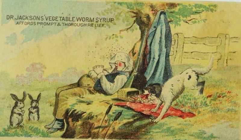 1883 Dr Jacksons' Vegetable Worm Syrup Picnic Scene Sleeping Man Dog Rabbits F83