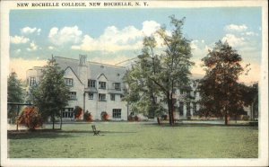 N Liberty Indiana IN Greetings Sheep Pasture Trees 1900-20s Vintage Postcard