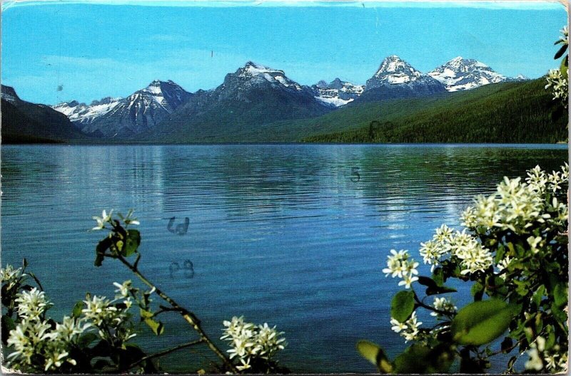 Service Berry Lake Glacier National Park Mountains Postcard Cancel WOB Note 15c  