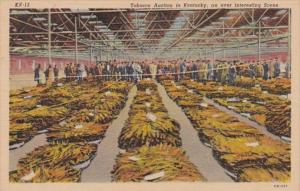 Kentucky Typical Tobacco Auction Curteich