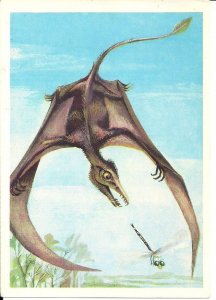 DINOSAUR, Brontosaurus, Russian Fact Card, Prehistoric Animal, 1983 USSR Russia