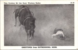 Rodeo Cowboy Bites the Dust, Greetings from Gothenburg TX Vintage Postcard X56