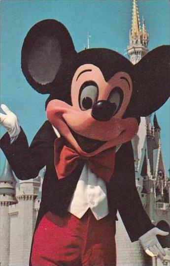 Florida Walt Disney World Welcome To Fantasyland