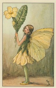 The Primrose Fairy Fairies Antique Book Illustration Postcard