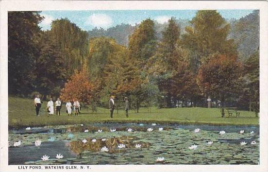 New York Watkins Glen Lily Pond