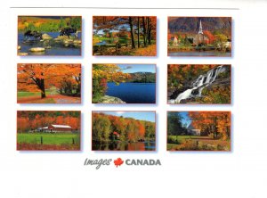 Large 5 X 7 inch Fall Spectacular in Eastern Canada