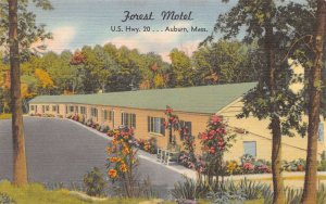 Auburn Massachusetts Forest Motel, Exterior Color Linen Vintage Postcard U6207