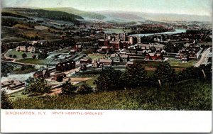 Vtg 1900s Hospital Grounds Birds Eye View Binghamton New York NY Postcard