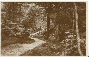 Yorkshire Postcard - Hebers Ghyll - Ilkley - Real Photograph - Ref 5042A