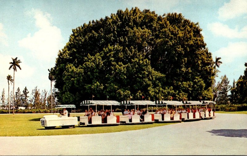 Florida Miami Hialeah Tram Train