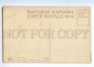 224194 RUSSIA NAYDEN RUSSIAN TYPES berries SELIN #21 postcard