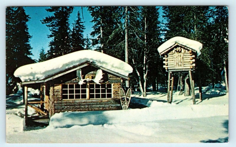 ALASKA ~ Snow Covered TRAPPER'S CABIN & CACHE c1960s  Postcard 