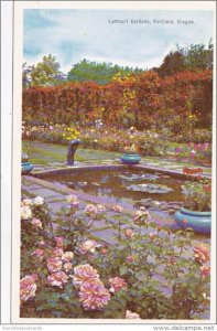 Oregon Portland Water Lily Pool and Rose In Lambert Gardens