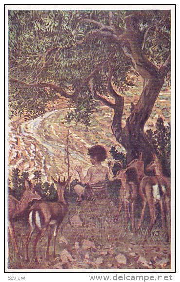 Czech Art Postcard , Tree , boy & deer , 00-10s ; Detstvi Sv. Jana Krtitele