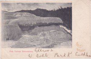 Pink Terrace Rotomahana New Zealand Old 1904 Postcard