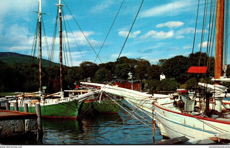 Sail Boats At Rest