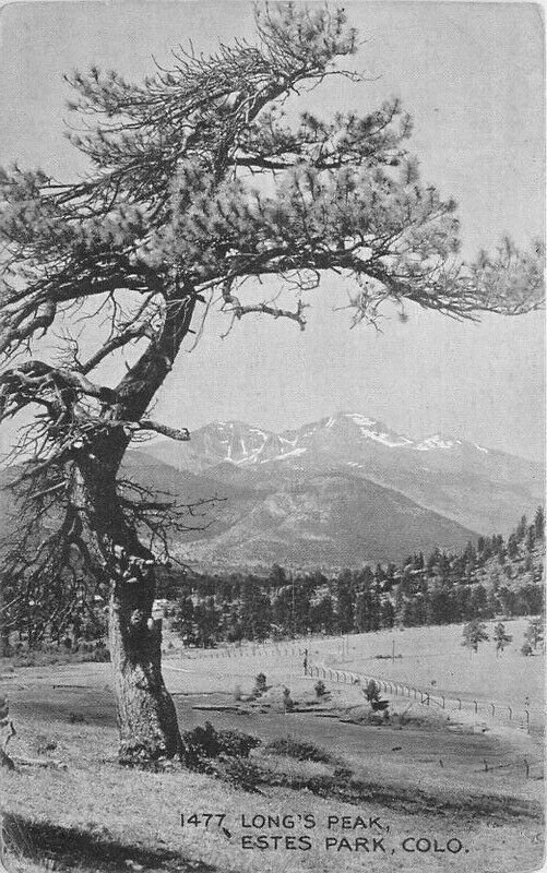 C-1910 Estes Park Colorado Long's Peak #1477 Postcard HTT Co 6074