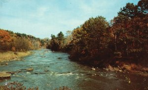 Vintage Postcard 1970 View of Wilderness Stream Greetings From Felch Michigan MI