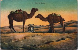 Algeria Dans les Dunes Camels Vintage Postcard C166