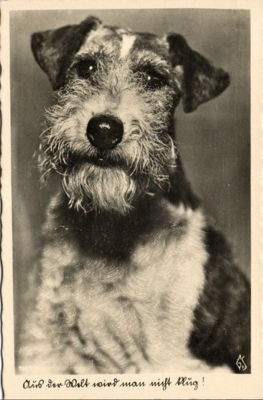 Dog Postcard Terrier (1930s) RPPC (3)