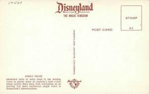 Amusement Disneyland Anaheim California Jungle Cruise Postcard 4357