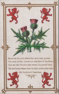 Scotland Postcard - Scottish Thistle - Old Scotland I Love Thee  Ref.RS30525