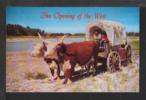 Covered Wagon,Ox Team Postcard 