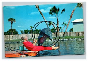 Vintage 1969 Postcard Porpoise Show Floridaland Sarasota Florida