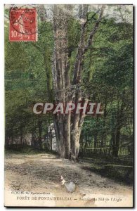 Old Postcard Tree Forest of Fontainebleau Bouquet nest of & # 39aigle