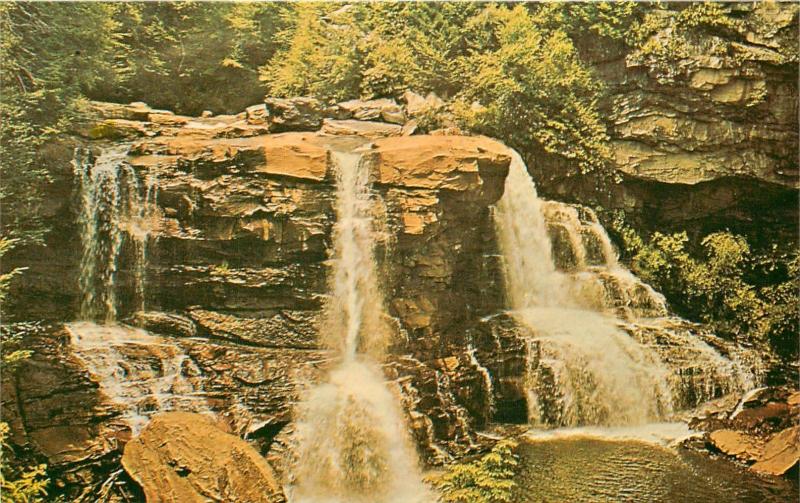 Blackwater Falls Davis West Virginia WV water fall Postcard