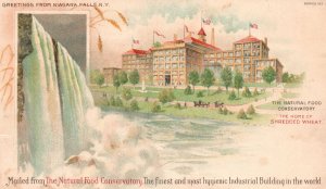 Vintage Postcard 1906 Greetings From Niagara Falls NY Nat'l Food Conservatory