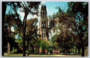 Harkness Memorial Tower Yale University New Haven Connecticut CT Trees Postcard