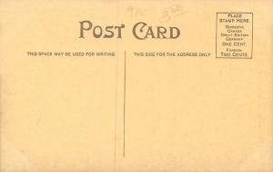 Humboldt Iowa~Elgin Broad Nature~Man Under Round Tree~1908 Postcard