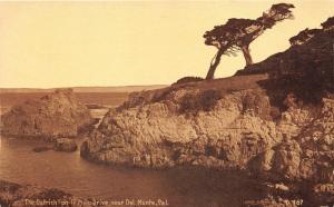 Del Monte California~The Ostrich on 17 Mile Drive~Rock Cliff by Ocean~1910 PC