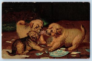 Postcard Three Dogs Biting Shattered Plate c1910 Antique Unposted Tuck Art