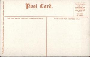 Vinalhaven ME Saddleback Lighthouse c1910 Postcard