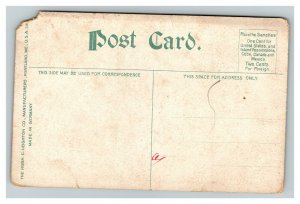 Vintage 1910's Postcard State War & Navy Department Building Washington DC