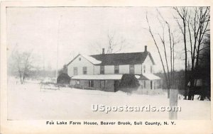 Fox Lake Farm House - Beaver Brook, New York