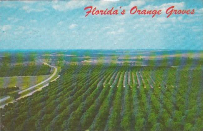 Florida Clermont Orange Groves On HIghway 27 Looking North From Citrus Tower