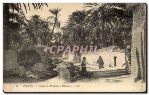 Old Postcard Biskra Palms Oasis Dattiers