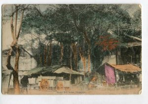 3138691 SINGAPORE Malay Tea House Vintage postcard