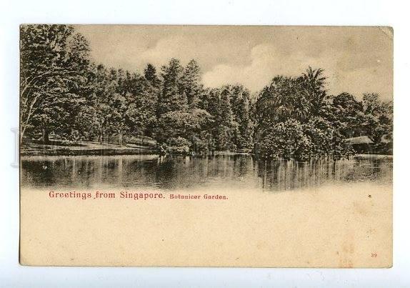 129651 GREETINGS from SINGAPORE Botanicer Garden Vintage PC