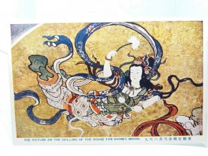 Ceiling of The House for Sacred Sedan Yomeimon Nikko Toshogu Japan Vtg Postcard