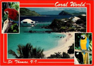 St Thomas, U.S. Virgin Islands  CORAL WORLD Underwater Aquarium  4X6 Postcard