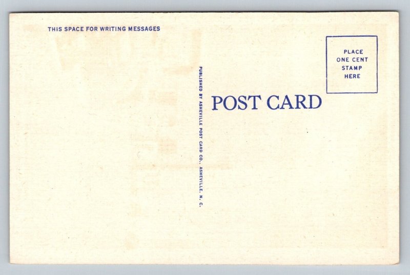 Columbia  South Carolina    Postcard