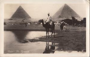 Egypt, Cairo, The Pyramids, used real photo Postcard