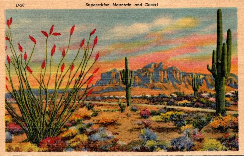 Cactus Superstition Mountain and Desert Arizona Curteich